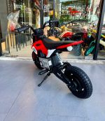 24V 250W Kids Electric Dirt Bike with 14-Inch Air Tyres and Hydraulic Disc Brake – First Proper Electric Off-Road Bike for Younger Riders - Image 6