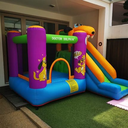 Heavy-Duty Kids Inflatable Bounce House with Climbing Wall and Long Slide – Puppy-Themed Outdoor Bouncy Castle Jumping Playhouse for Children, Parties and Home Entertainment